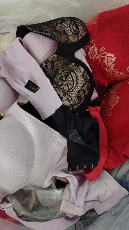 Photo gallery from 20230923, image 9