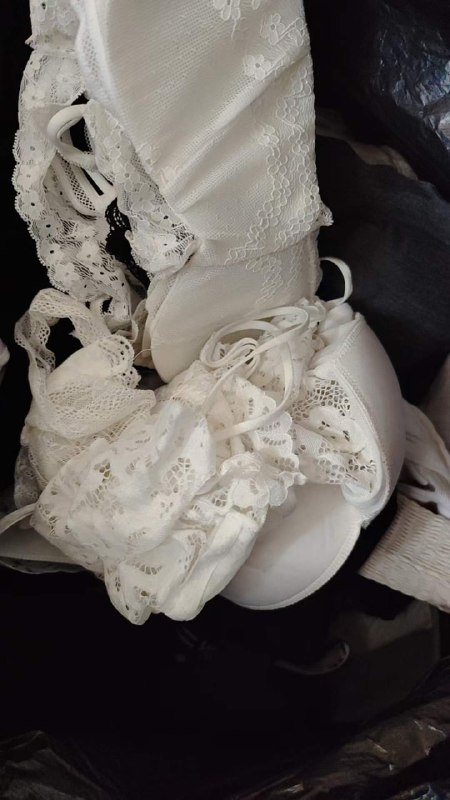 Photo gallery from 20231216, image 1