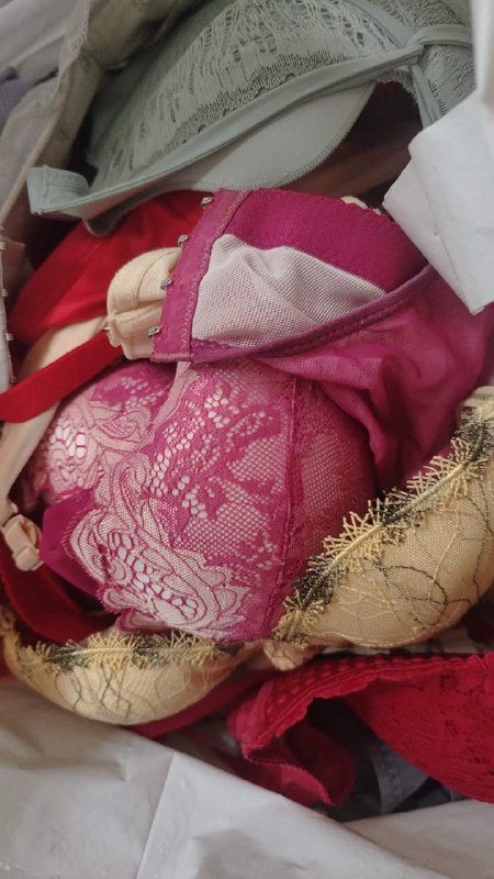 Photo gallery from 20231108, image 5