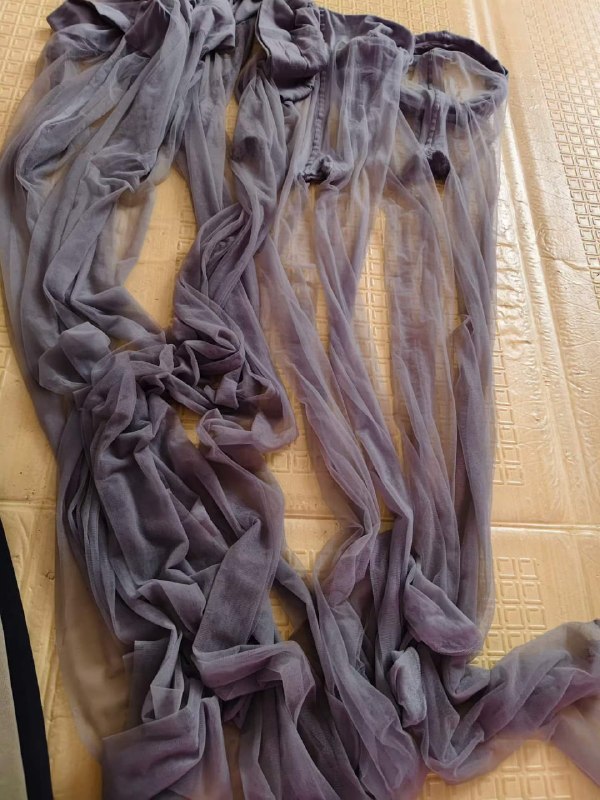 Photo gallery from 20260519, image 6