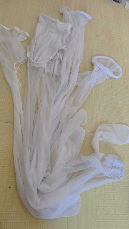 Photo gallery from 20250801, image 7