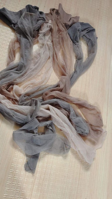 Photo gallery from 20231127, image 2