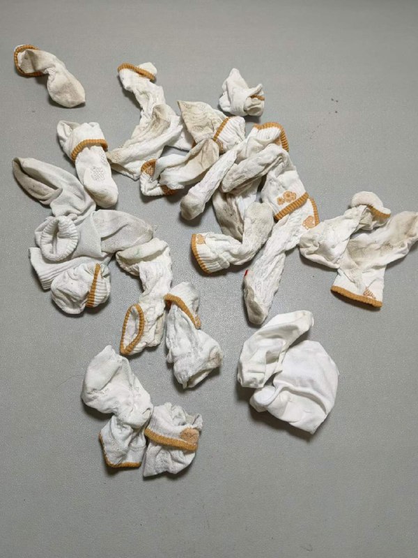 Photo gallery from 20231026, image 1