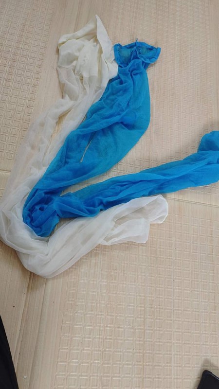 Photo gallery from 20231006, image 1