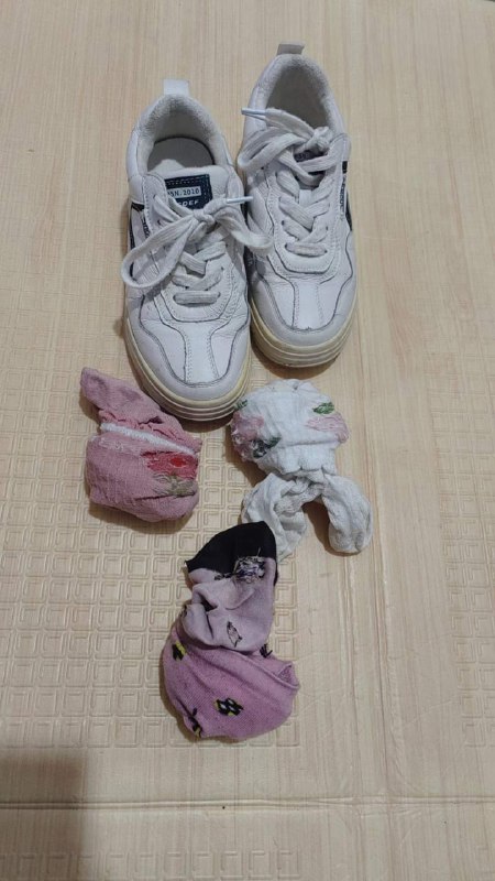 Photo gallery from 20240108, image 4