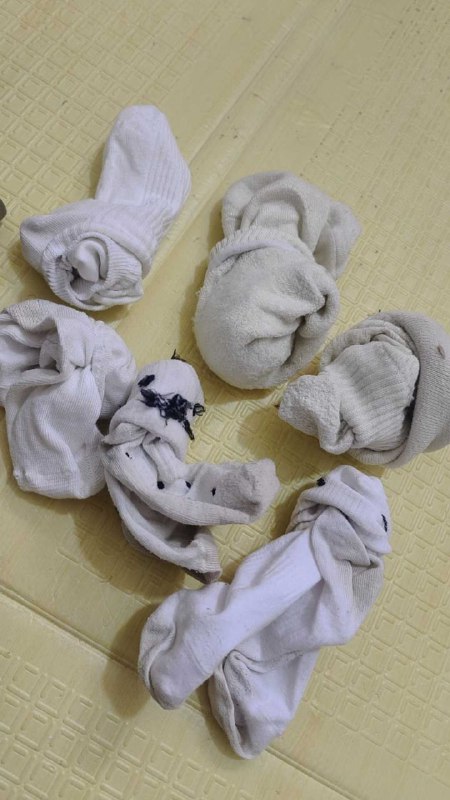 Photo gallery from 20251203, image 11