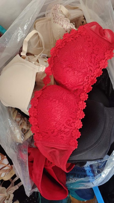 Photo gallery from 20230920, image 1