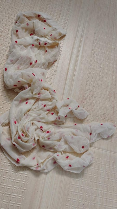 Photo gallery from 20231114, image 1