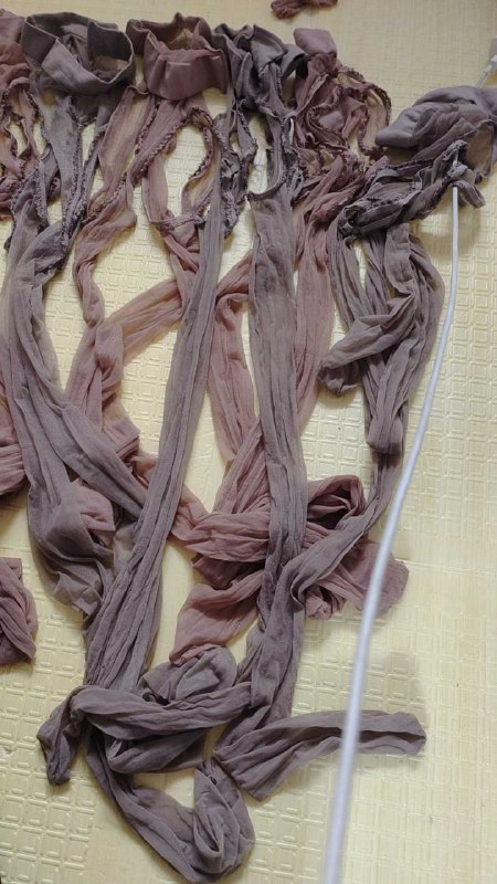 Photo gallery from 20251124, image 8