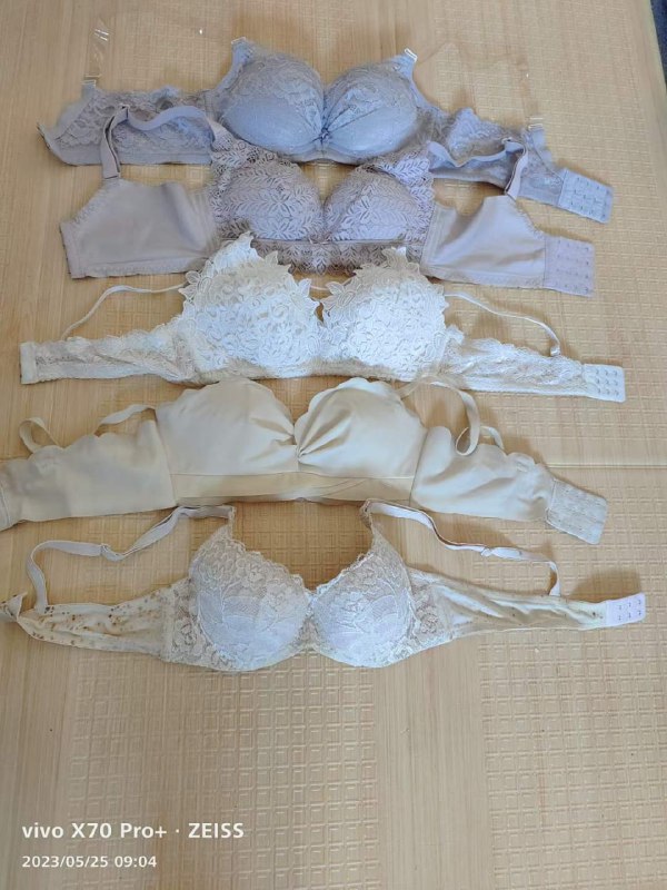 Photo gallery from 20230525, image 5