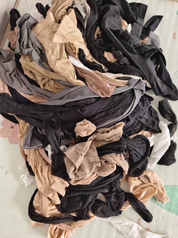 Photo gallery from 20240704, image 12