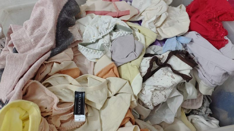 Photo gallery from 20240621, image 6