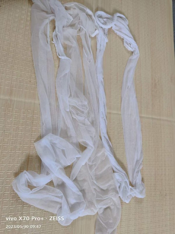 Photo gallery from 20230530, image 12