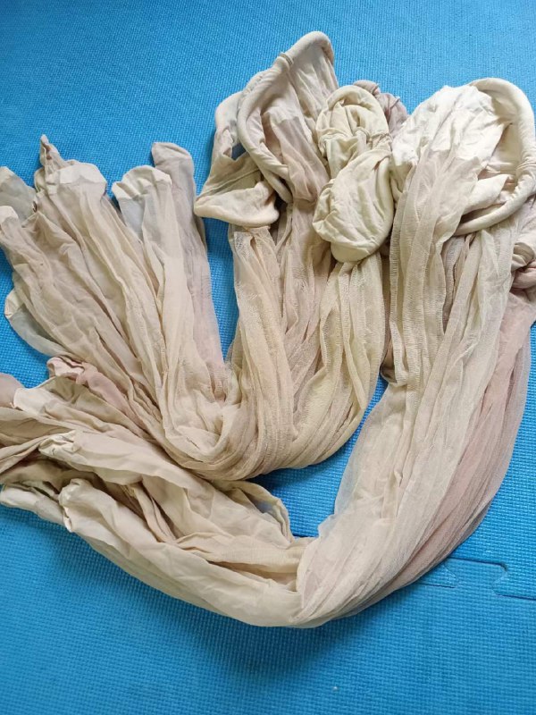 Photo gallery from 20230612, image 12