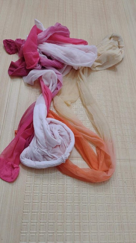 Photo gallery from 20240125, image 7