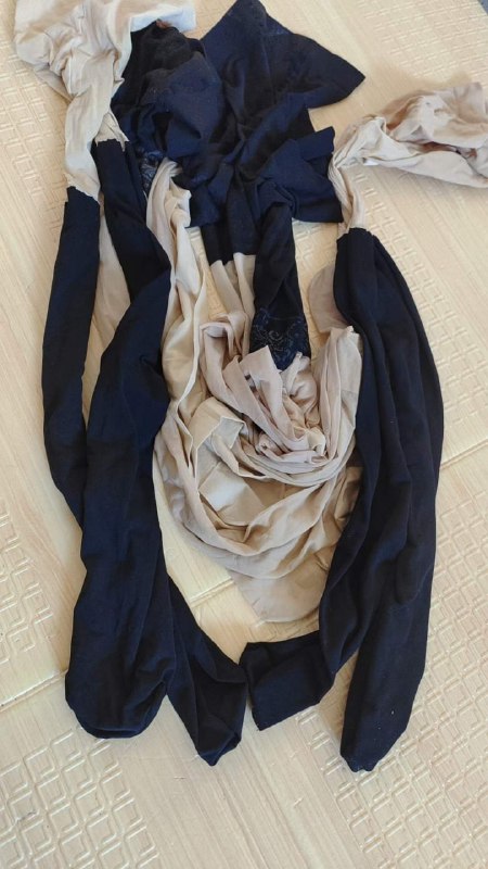 Photo gallery from 20230918, image 2