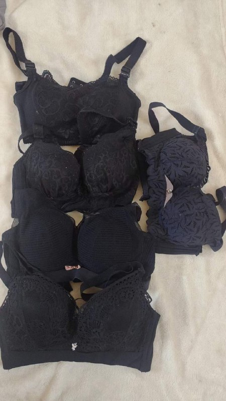 Photo gallery from 20231117, image 5