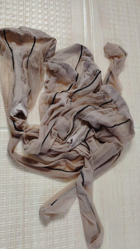 Photo gallery from 20231017, image 1