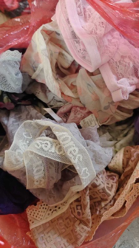 Photo gallery from 20251209, image 5