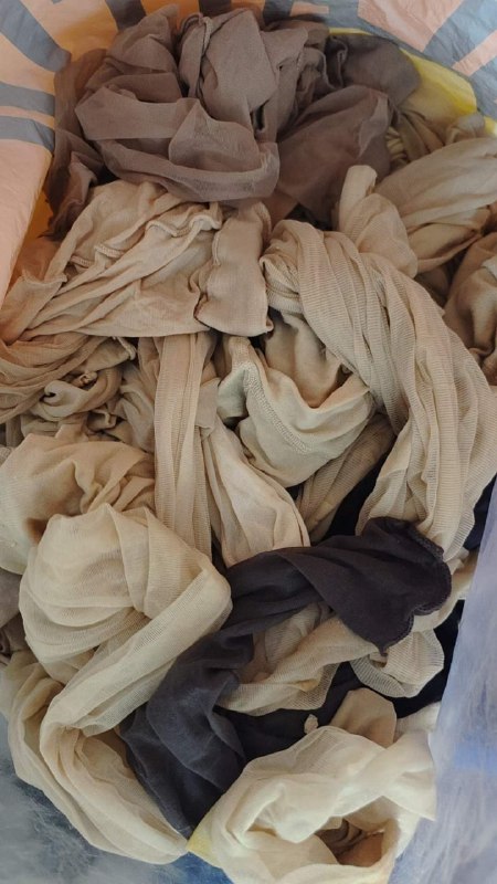 Photo gallery from 20240608, image 11