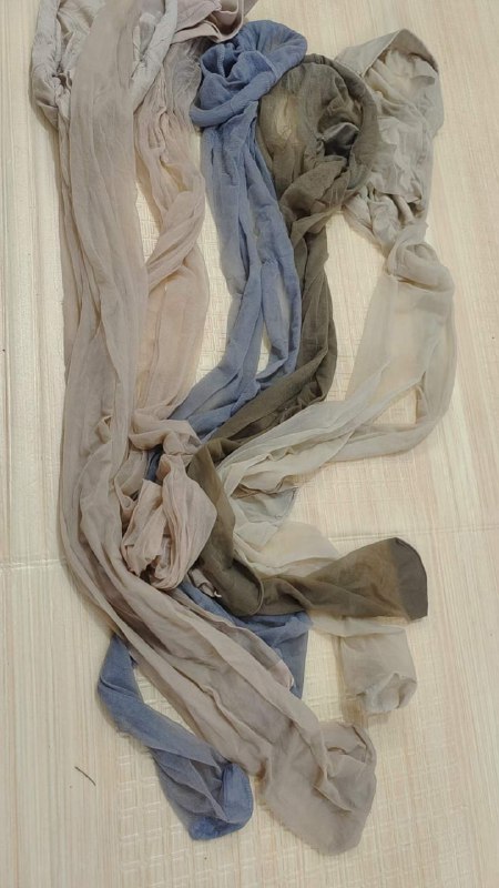 Photo gallery from 20240108, image 5