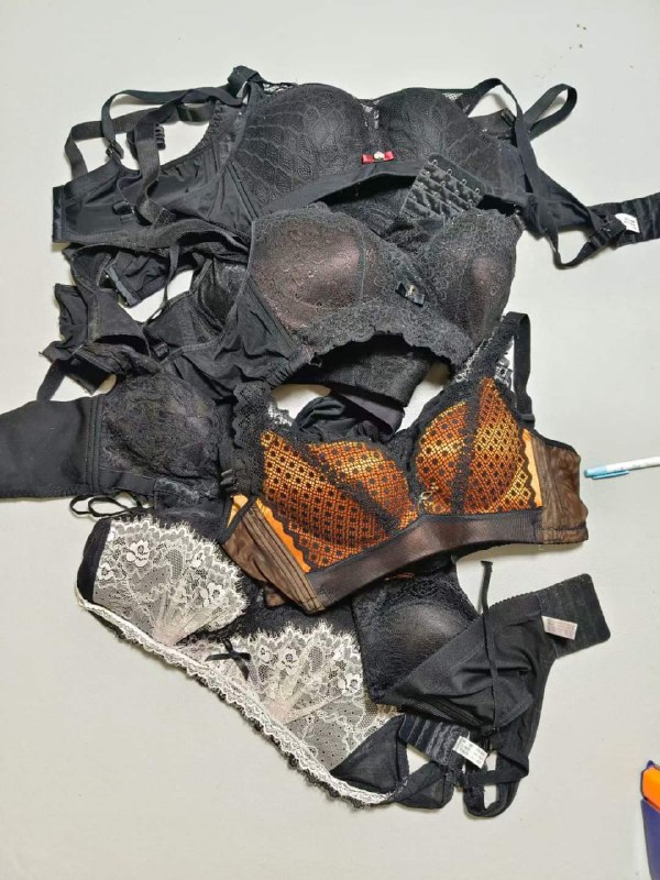 Photo gallery from 20230914, image 8