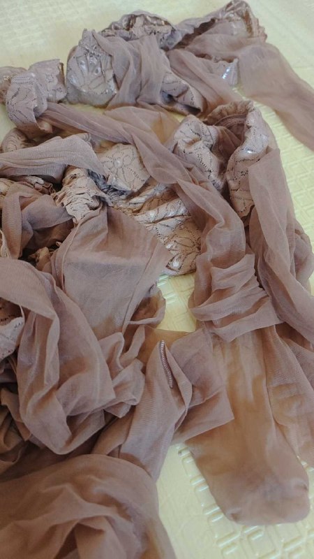 Photo gallery from 20250908, image 12