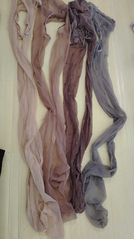 Photo gallery from 20250805, image 11