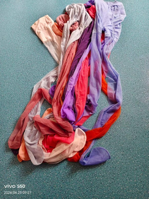 Photo gallery from 20260425, image 11