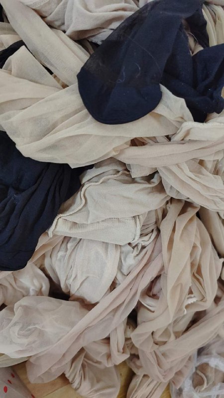 Photo gallery from 20231104, image 5